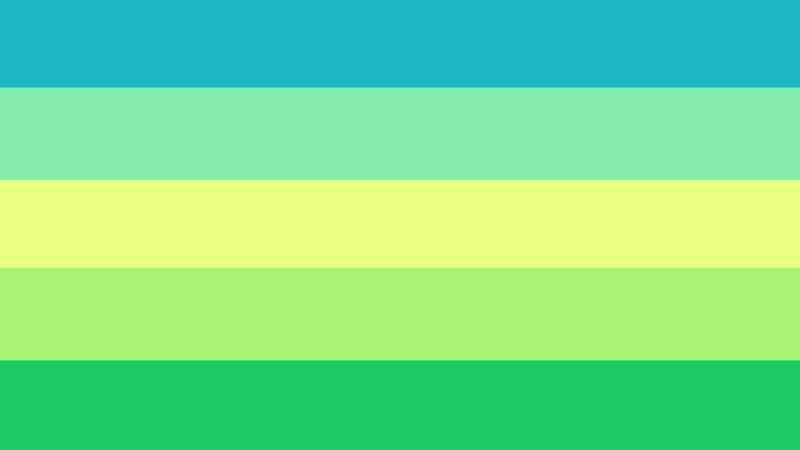 blank flag without text
