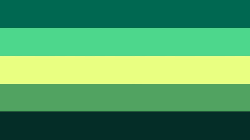 flag without the text