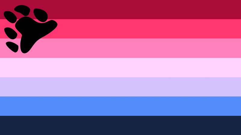 bi bear flag with 7 horizontal stripes being dark magenta, hot pink, light pink, lavender, periwinkle, blue, and dark blue. there is a black bear symbol in the top lefthand corner of the flag, the bear symbol being a tilted bear pawprint.