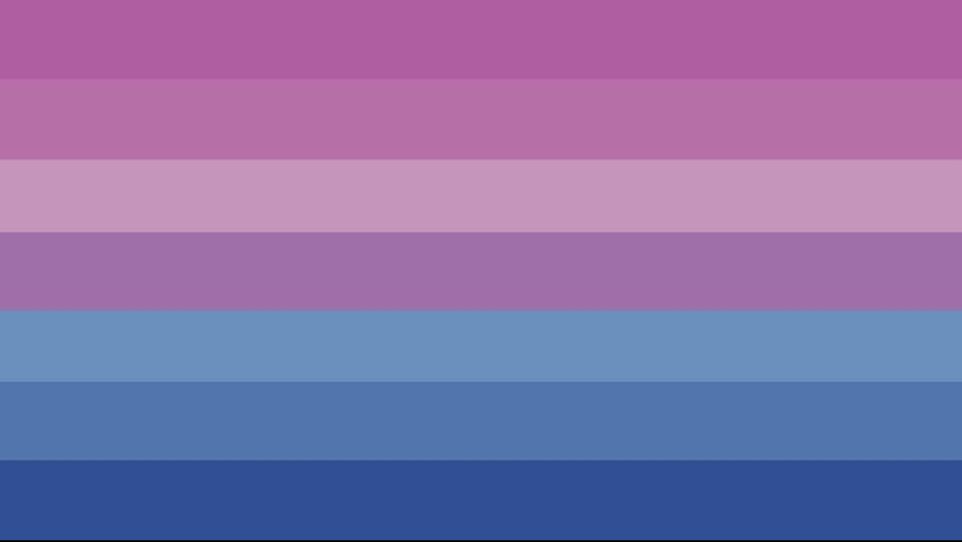 flag with 7 horizontal stripes being dark pink, pink, light purple, purple, light blue, blue, and dark blue. 
