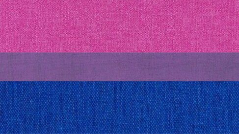 bi flag made from corresponding colors from images of fabrics