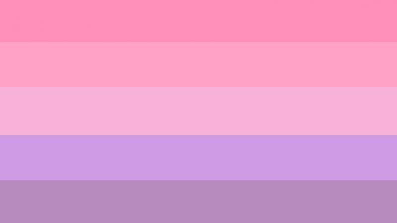 flag with 5 horizontal stripes being pink, light pink, lilac, light purple, and dark purple