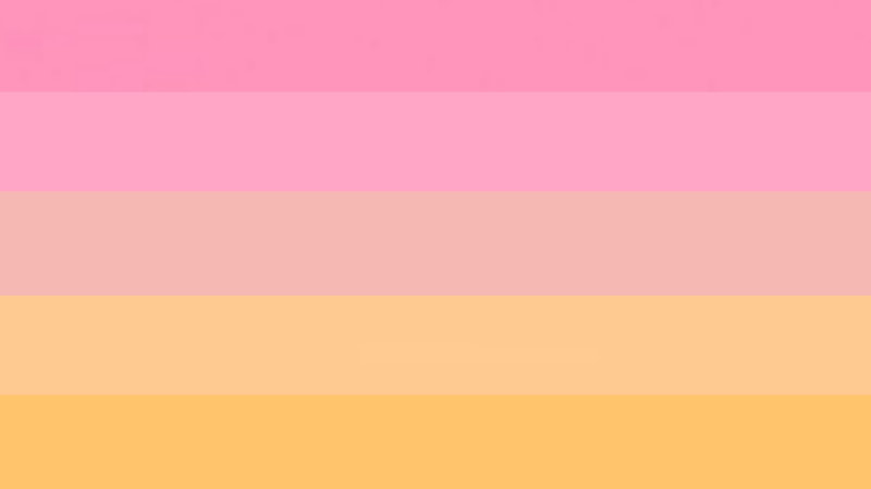 flag with 5 horizontal stripes being pink, light pink, beige, light orange, and orange