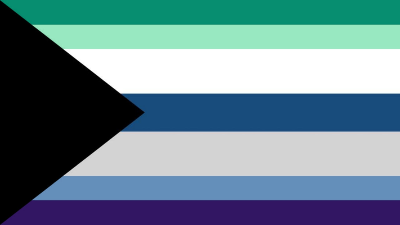 Flag with a black triangle coming from the left side and two small stripes on the top and bottom and a medium size stripe in the center, with big stripes in between making a total of 7 stripes. The stripe colors from top to bottom are dark teal, mint, white, dark blue, light grey, blue, and indigo. 