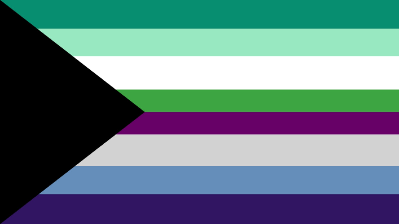 Flag with 8 horizontal stripes and a black triangle coming out of the left side. The stripes are not evenly shaped. In order they are dark teal, mint, white, green, purple, grey, blue, and indigo. 