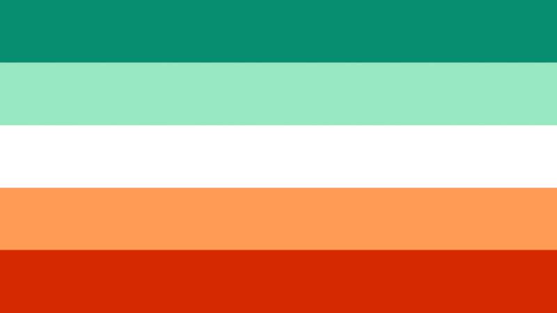 flag with 5 stripes being teal, mint, white, light orange, and blood orange