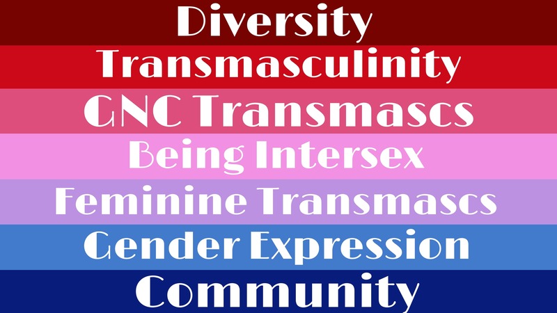 the flag with meanings on each stripe from top to bottom being: diversity, transmasculinity, gnc transmascs, being intersex, feminine transmascs, gender expression, and community. 
