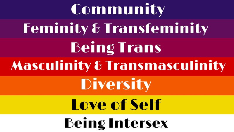 flag with stripe meanings from top to bottom being community, femininity and transfemininity, being trans, masculinity and transmasculinity, diversity, love of self, and being intersex. 