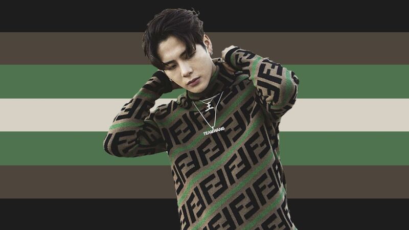 flag with 7 horizontal stripes being black, brown, dark green, beige, dark green, brown, and black. There is a cutout of Jackson Wang on the flag in those colors. 