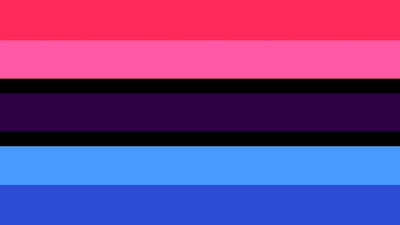 flag with 7 horizontal stripes, the middle being indigo with thin black stripes on either side. the top two sstripes are hot pink and pink. then at the bottom there is a light blue stripe and then a blue stripe.