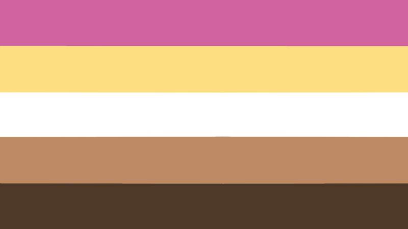 flag with 5 horizontal stripes that are pink, yellow, white, light brown, and brown