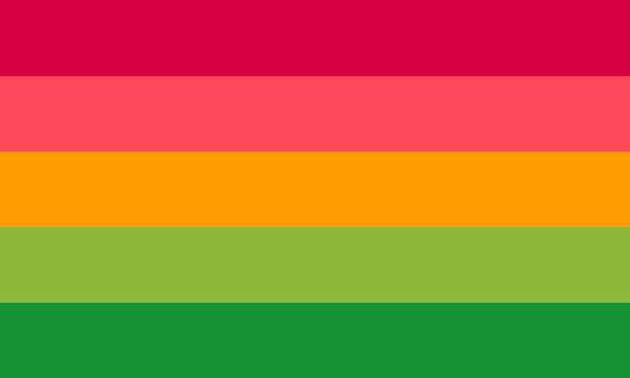 flag with 5 stripes that are magenta, hot pink, gold, light green, and green