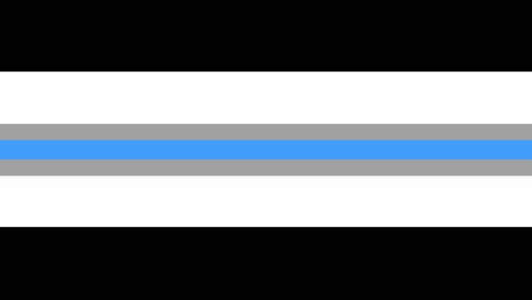Flag with horizontal stripes. There is a thin blue stripe in the middle with thin grey stripes on either side. Going outward is white stripes that are 4 times bigger than the grey stripes, and then there are slightly bigger black stripes. 