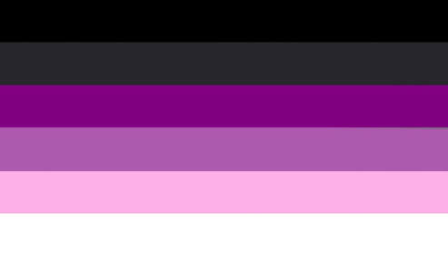 flag with 6 horizontal stripes in the color order of black, dark grey, purple, light purple, a purple toned pink, and white. 