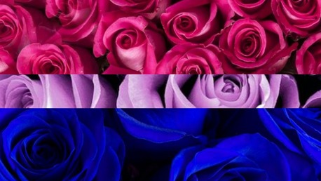 bi flag edit with stripes being replaced with images of flowers, primarily roses, corresponding to each stripe and its color. Color stripes are: hot pink, a thin purple stripe, and a blue stripe.