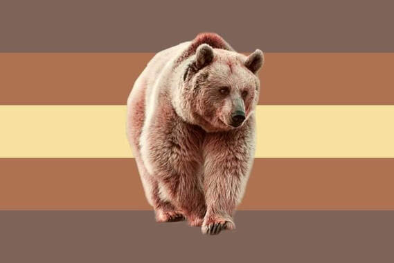 A flag with 5 horizontal stripes in the order of dark brown, light brown, yellow, light brown, and dark brown. There is a sticker of a real brown bear on the flag in the center. 