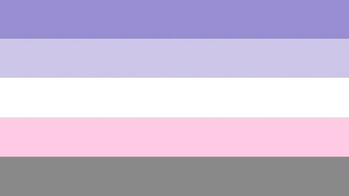 flag with 5 horizontal stripes in the color order of dark lilac, lilac, white, light pink, and grey. 