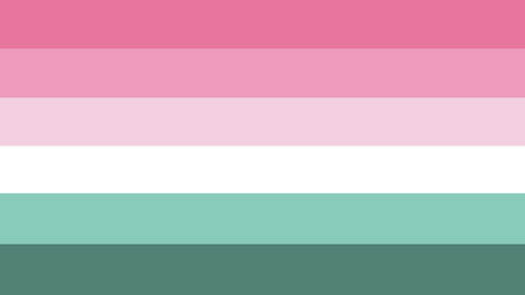 Flag with 6 horizontal stripes from top to bottom being pink, light pink, pale pink, white, teal, and dark teal. 