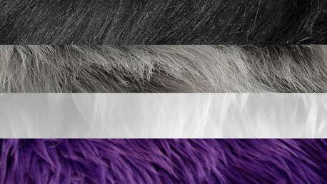 asexual flag with each stripe made of a different image of fur corresponding to each color