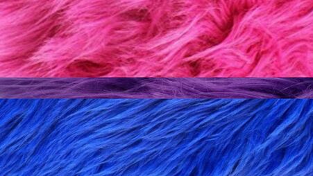 bi flag with each stripe made of a different image of fur corresponding to each color