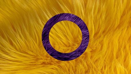 intersex flag with each stripe made of a different image of fur corresponding to each color. yellow flag with purple circle. 