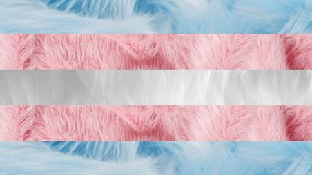 trans flag with each stripe made of a different image of fur corresponding to each color