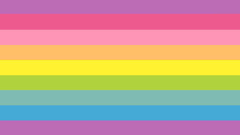 flag with 9 horizontal stripes from top to bottom being purple, hot pink, baby pink, light orange, yellow, light green, teal, blue, and purple. 