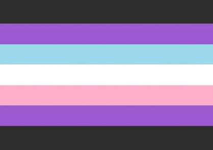 Flag with 7 horizontal stripes. The color order from top to bottom is very dark grey, purple, baby blue, white, baby pink, purple, and very dark grey. 