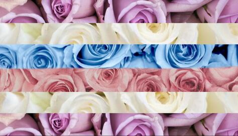 original intersex flag edit with stripes being replaced with images of flowers, primarily roses, corresponding to each stripe and its color. Color stripes are: lavender, white, baby blue blurred into baby pink, white, and lavender. 