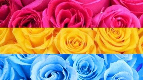 pan flag edit with stripes being replaced with images of flowers, primarily roses, corresponding to each stripe and its color. Color stripes are: pink, yellow, and cyan.