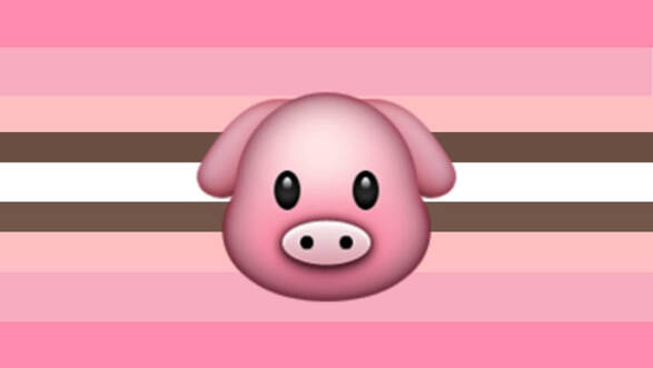 flag with 9 horizontal stripes. the stripe in the middle is normal sized and white, on each side is brown and thin, then is a peach pink stripe on each side that is slightly bigger, then goes a light pink normal sized stripe, and a regular pink normal sized stripe. There is a pig emoji on the center of the flag. 