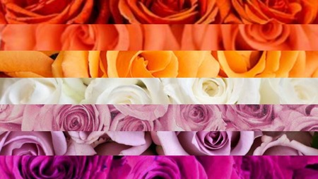 sunset lesbian flag edit with stripes being replaced with images of flowers, primarily roses, corresponding to each stripe and its color. Color stripes are: dark orange, orange, light orange, white, light pink, light purple, and magenta.