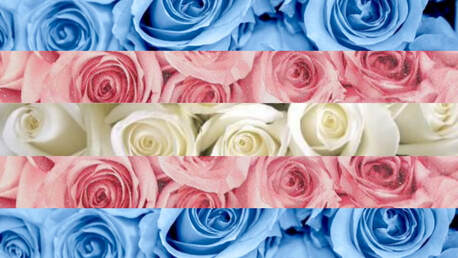 trans flag edit with stripes being replaced with images of flowers, primarily roses, corresponding to each stripe and its color. Color stripes are: baby blue, baby pink, white, baby pink, and baby blue. 