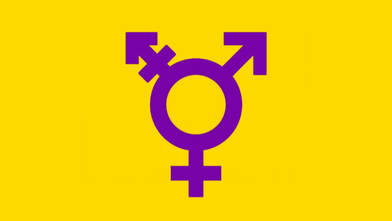 An intersex flag purple colored trans symbol, being the venus and mars mash up symbols, on an intersex flag yellow background; mimicking the intersex flag.