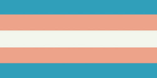 vintage version of the trans flag