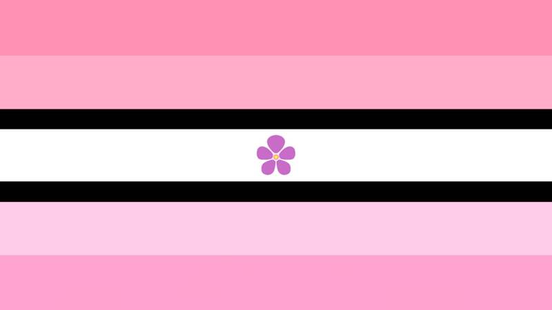 flag with 7 horizontal stripes. the middle stripe is white with thin black stripes on each side. in the center of the white stripe is a cartoon violet from the sapphic flag. the top two stripes are pink and light pink. the bottom stripes also go light pink and then pink, but are a more purple toned version than the top.