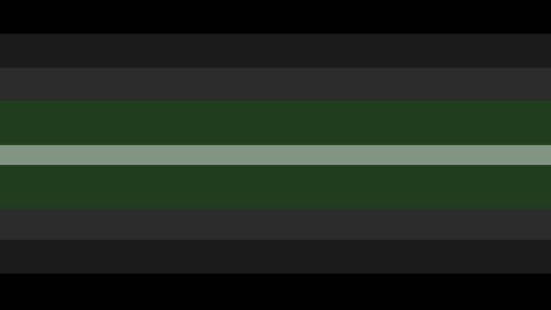 flag with 9 stripes
the middle stripe is thin and light grey, with big muted green stripes on either side. then smaller stripes on either side are grey, dark grey, and black. 