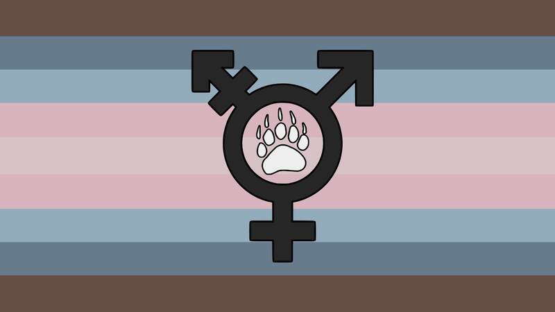 flag with 9 horizontal stripes with the colors being cool toned brown, dark steel blue, light steel blue, pastel pink, light pink, pastel pink, light steel blue, dark steel blue, and cool toned brown. There is a pale black trans symbol on the flag with a white bear paw print inside the circle that has a black outline around it. 